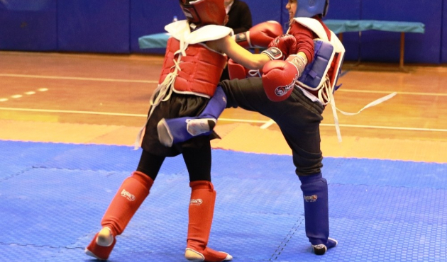 Aydın'da Wushu müsabakaları sona erdi