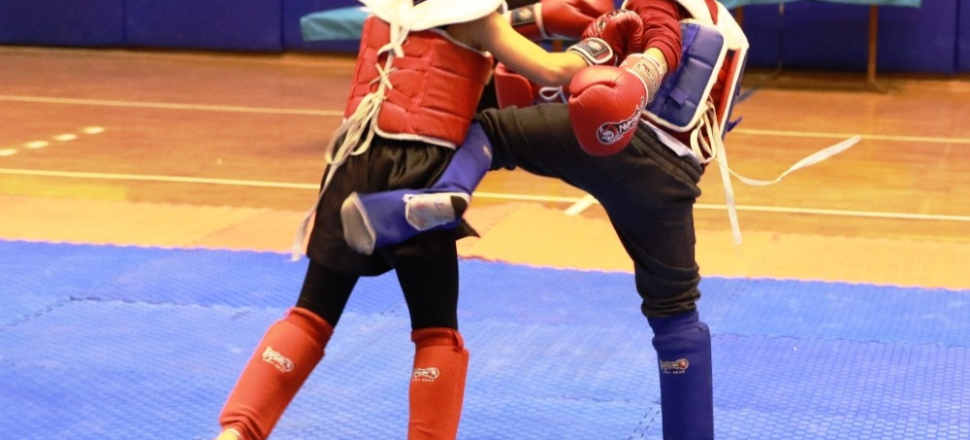 Aydın'da Wushu müsabakaları sona erdi