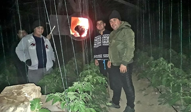 Antalya'da sera üreticileri, 'don nöbeti' tutuyor
