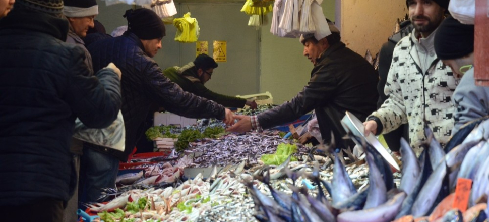 Bilecik'te balık pazarı denetimi
