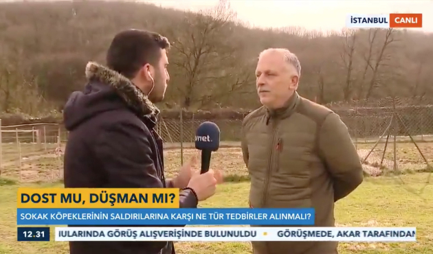 Köpek saldırısından korunma yöntemleri...