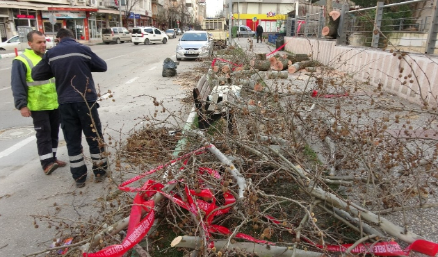 Bursa'da lodosun şiddeti gün ışığında ortaya çıktı