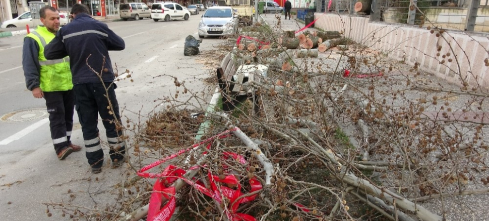 Bursa'da lodosun şiddeti gün ışığında ortaya çıktı