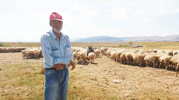 O çobandan ders gibi sözler...