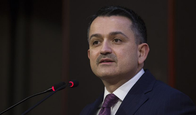Buzağı destekleme ödemeleri başlıyor