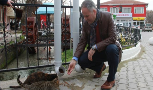 Tekirdağ'da su borusundan sokak hayvanları için mama kabı yaptı