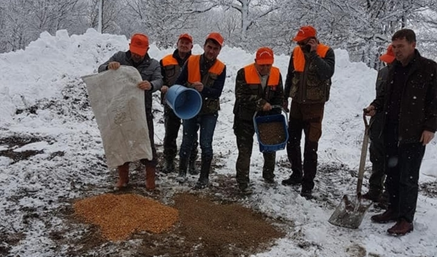 Bolu'da yaban hayvanları için doğaya yem döküldü