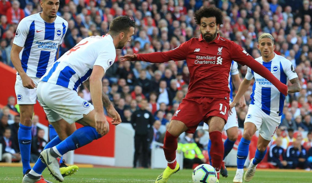 Brighton - Liverpool maçı canlı