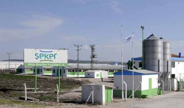 Şeker Piliç'in sahipleri FETÖ'den gözaltına alındı