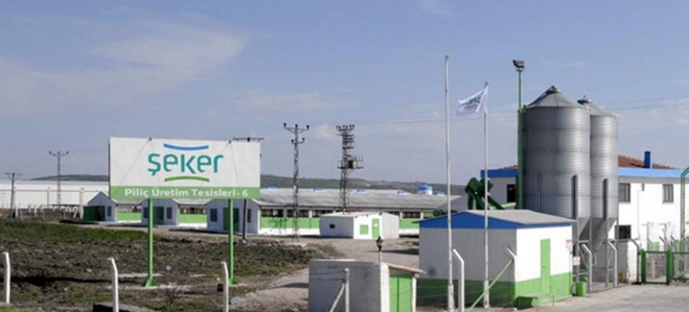 Şeker Piliç'in sahipleri FETÖ'den gözaltına alındı
