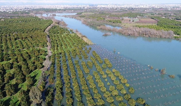 Adana'da tarım arazileri baraj suyuyla doldu