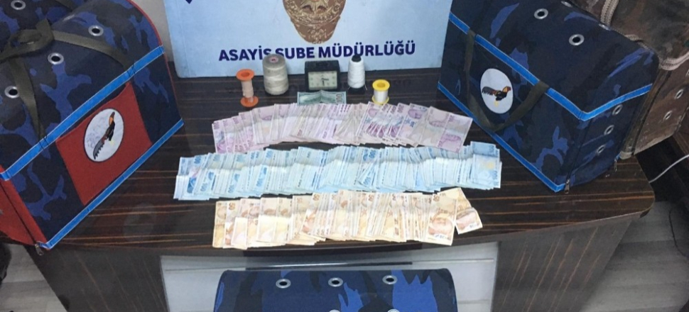 Batman’da horoz dövüştürenlere baskın
