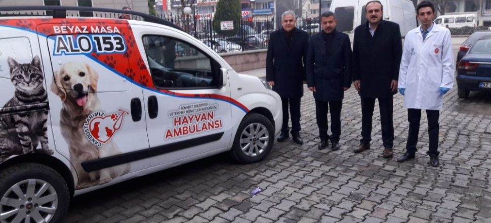 Sinop’ta hayvan ambulansı hizmete başladı