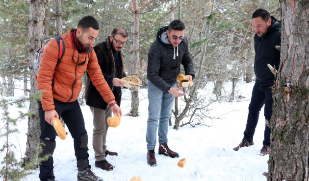 Yozgat'ta soğuk kış günlerinde yaban hayvanlarına destek