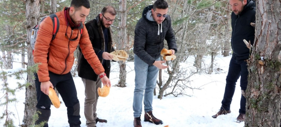 Yozgat'ta soğuk kış günlerinde yaban hayvanlarına destek