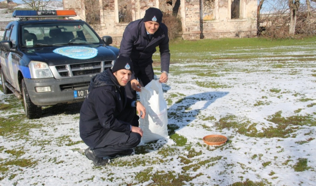 Balıkesir Kepsut Belediyesi sokak hayvanlarını unutmadı