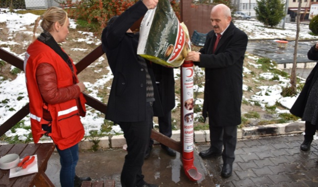Karabük'te sokak hayvanlarına 'Dostluk Aparatı'