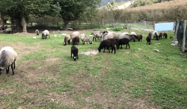 Yöneticiliği bırakıp girdiği işte paraya para demiyor!