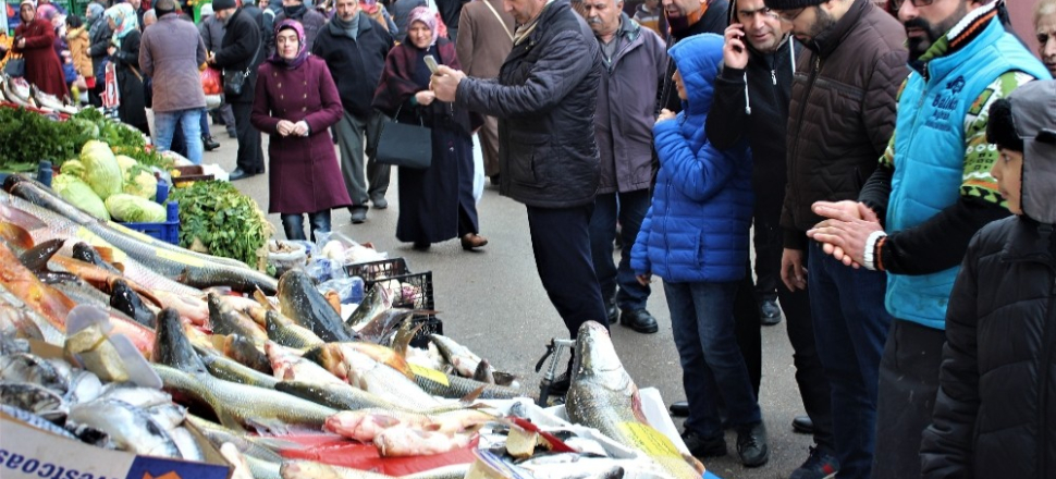 Elazığ Keban’da, ‘Turna’ ve ‘Sazan’ akını