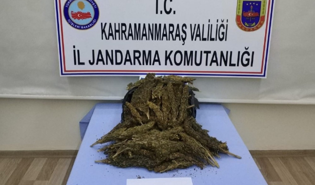 Kahramanmaraş’ta uyuşturucu tacirlerine operasyon