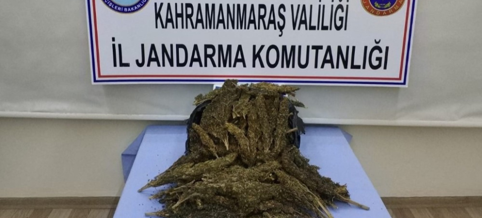 Kahramanmaraş’ta uyuşturucu tacirlerine operasyon