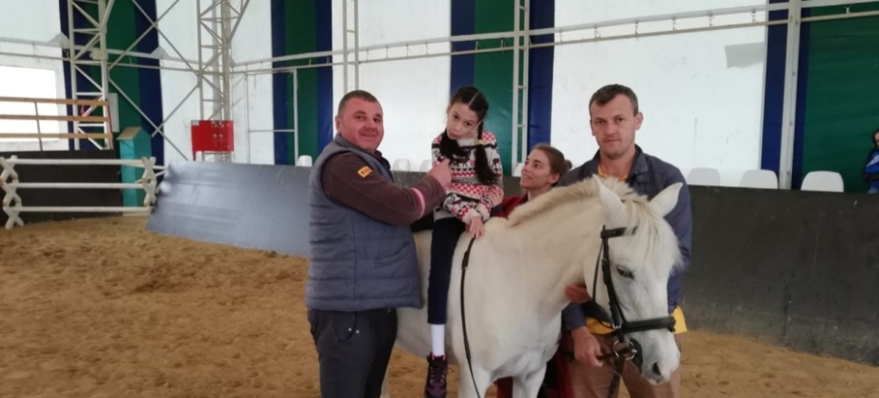 Kocaeli Kartepe Atla Terapi Merkezi’ne ilgi büyük