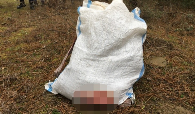 Sinop’ta yasa dışı karaca avcıları yakalandı