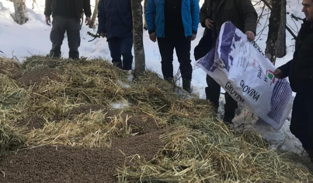 Bolu Mengen’de yaban hayvanları için yem bırakıldı