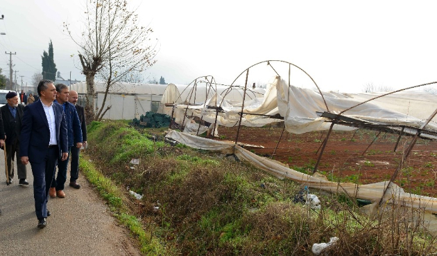 Antalya'da Başkan Uysal, seralarda incelemelerde bulundu