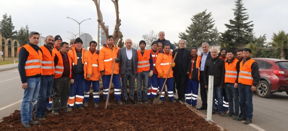 Kilis’te Lale soğanı dikimi sürüyor