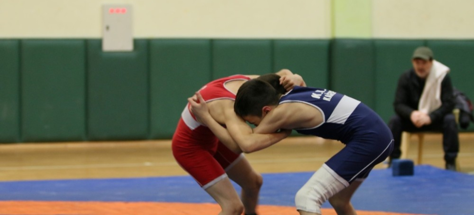 Kocaeli'de Kağıtsporlu minik güreşçiler turnuvada bir araya geldi