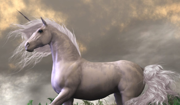 Türkiye 'unicorn'unu arıyor!