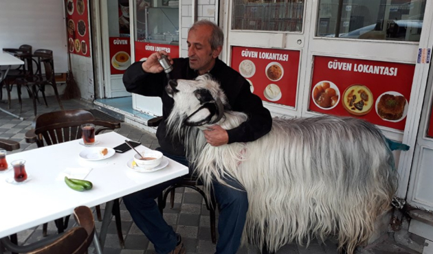 Keçisiyle lokantada kahvaltıdaydı, köpek saldırdı!