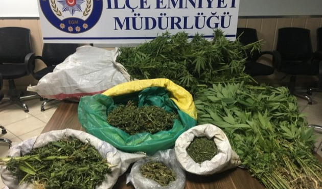 Manisa’da uyuşturucu baskını: 1 tutuklama