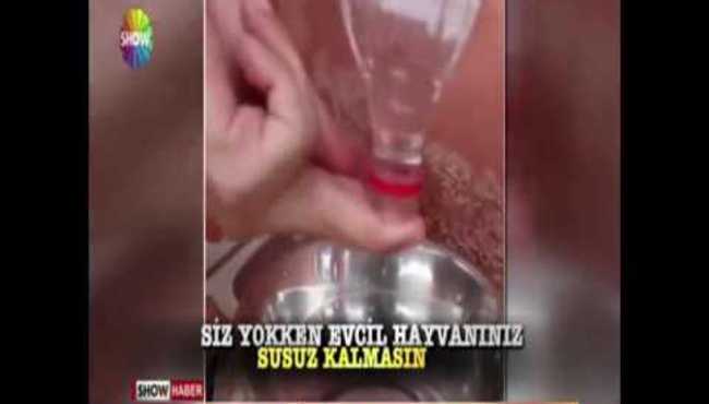 Bu haber işinize çok yarayacak!