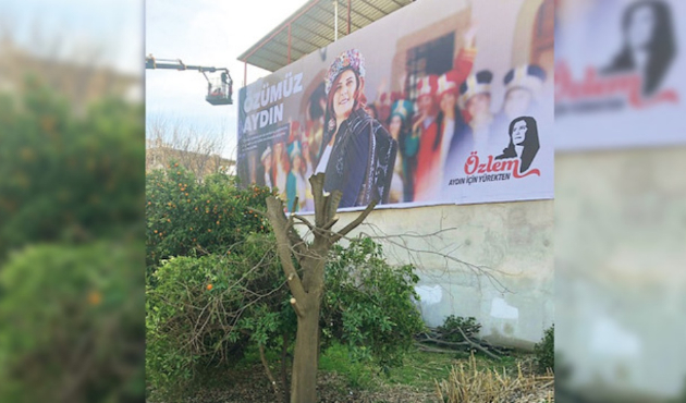 Afişinin daha iyi görünmesi için ağaç kestirdi!