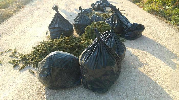 Diyarbakır'da esrar operasyonu: 1 terörist öldürüldü