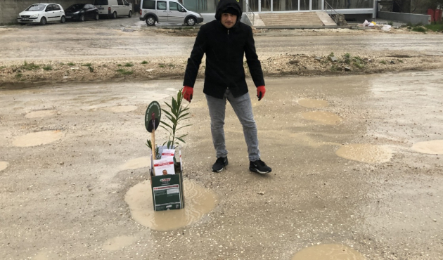 Yoldaki çukurlara çiçek ve ağaç diktiler!