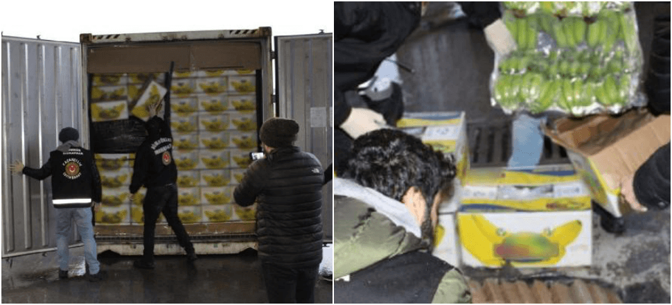 Ekvador'dan gelen muz kutularından çıktı!