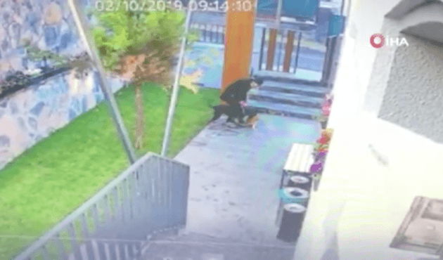 Köpeği kediyi parçalarken izledi, öldürünce çöpe attı!