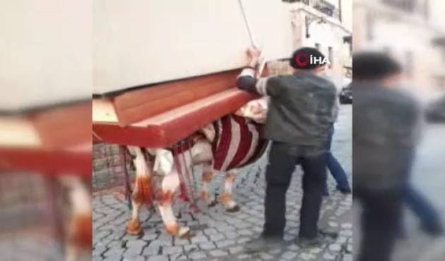 Eşeğe onlarca kiloluk ev eşyasını taşıttı...