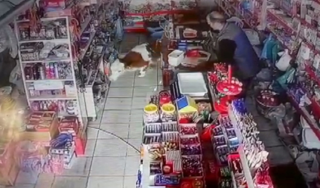 Adıyaman'da markete sürpriz müşteri!
