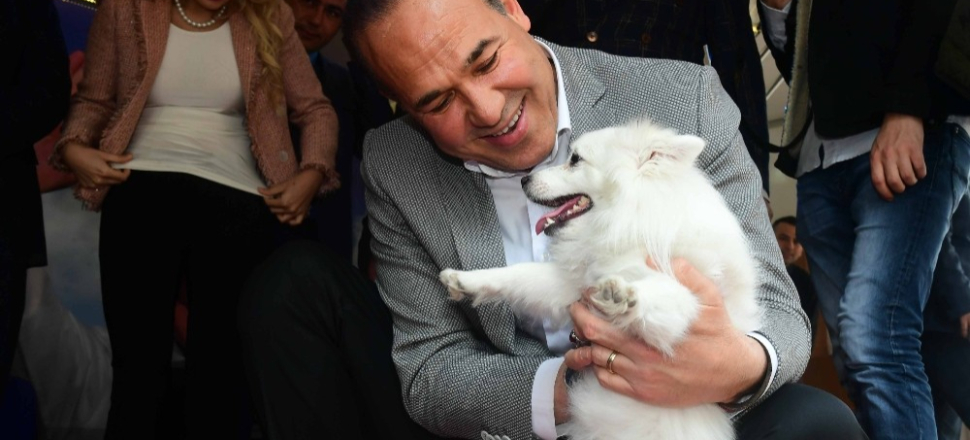 Adana'da Hüseyin Sözlü: "Her okul, her fabrika 2 köpeği sahiplenecek"