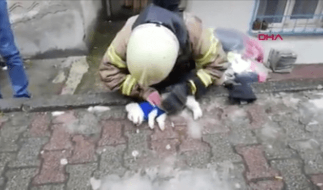 İtfaiyeciden köpeğe kalp masajı ve suni teneffüs!