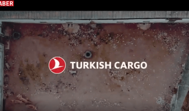 Türk Hava Yolları sirkteki aslanları özgürlüğüne kavuşturdu!