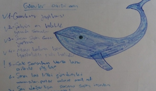 Mavi Balina Türkiye'de bir can daha aldı!