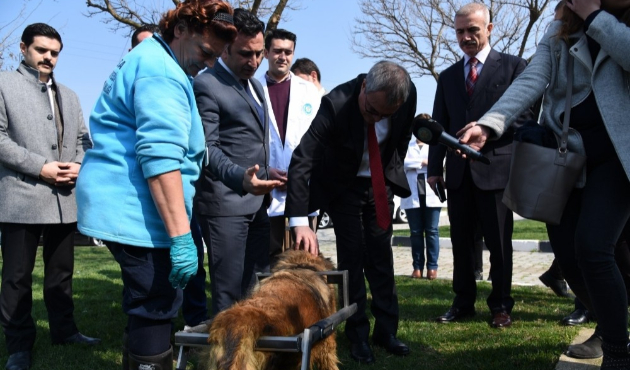 Manisa'da Vali Ahmet Deniz’den Hayvan Bakım ve Tedavi Merkezi’ne tam not