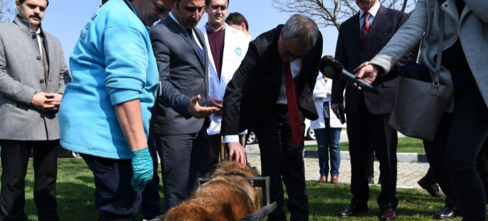 Manisa'da Vali Ahmet Deniz’den Hayvan Bakım ve Tedavi Merkezi’ne tam not