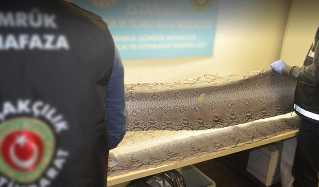 Atatürk Havalimanı'nda 'yılan derisi' operasyonu!