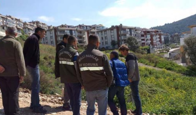 Doğuracak yer bulamayınca yeşil alana gitti!